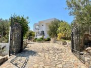 Kavousi MIT BESICHTIGUNGSVIDEO! Kreta, Kavousi: Freistehendes Haus in Olivenhain zu verkaufen Haus kaufen